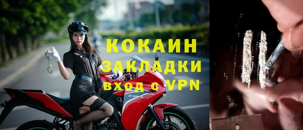 прущий лед Богданович