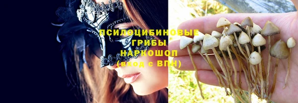 не бодяженный Белокуриха