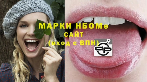 прущий лед Богданович