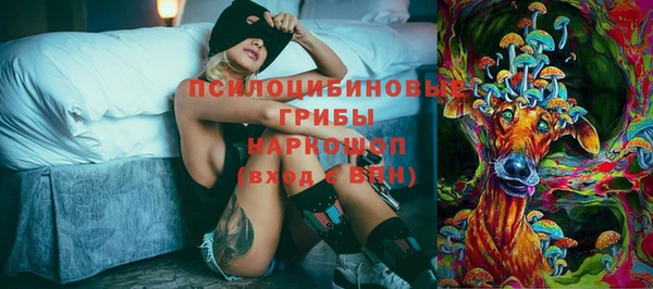 трава Горно-Алтайск
