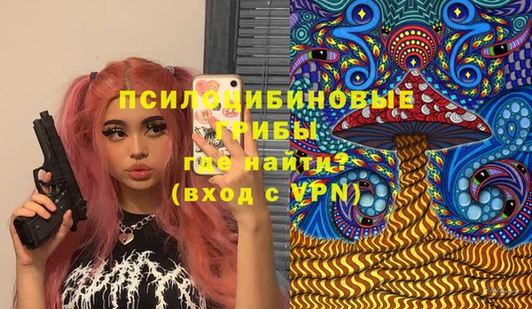 прущий лед Богданович
